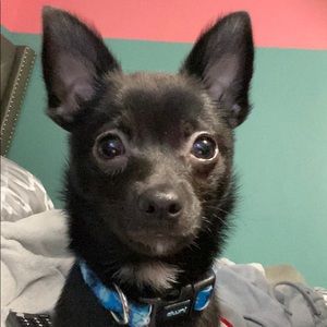 Meet your Posher, Michael